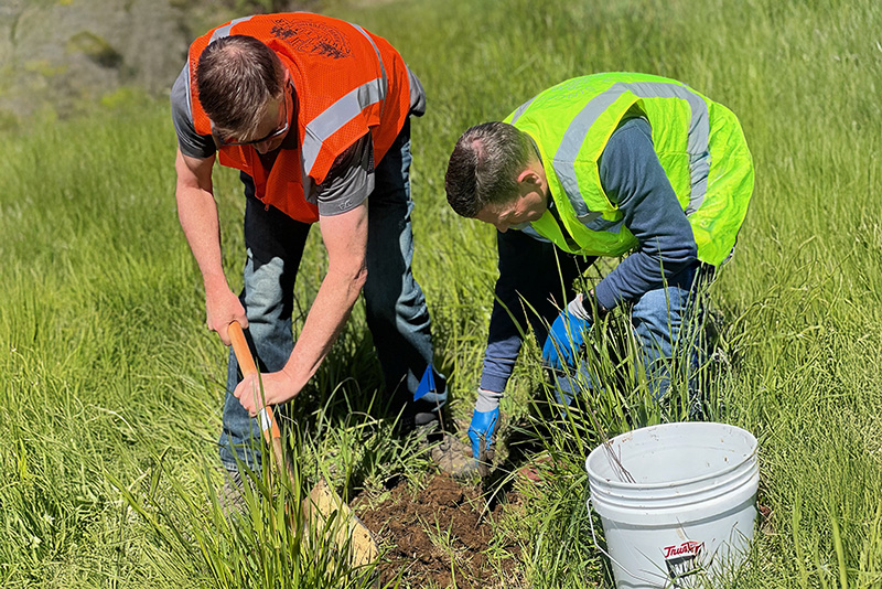 Two people digging on the ground with a bucket next to them